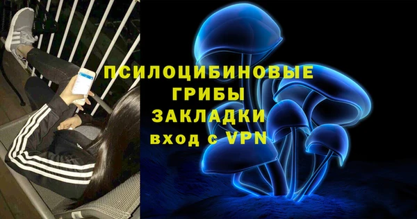 стаф Богданович